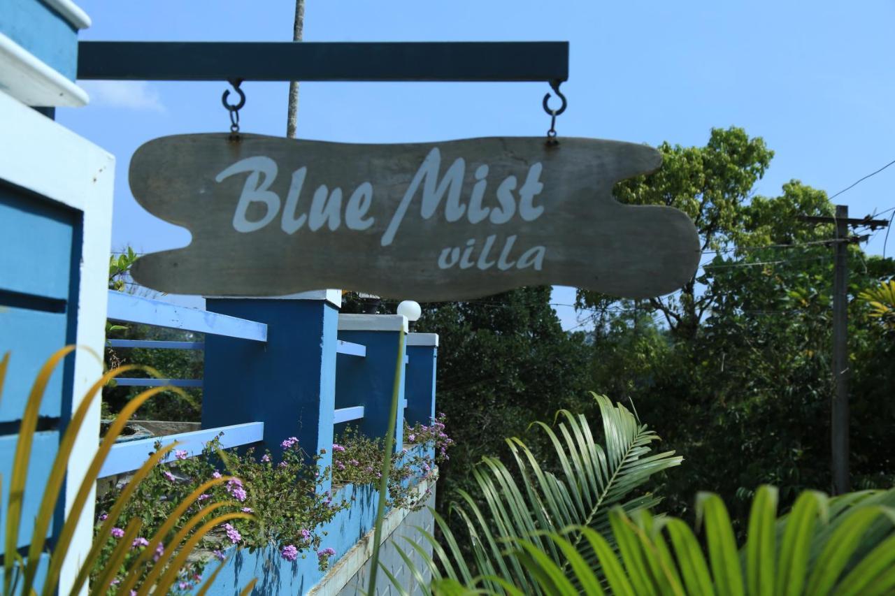 Munnar Blue Mist Bed and Breakfast Εξωτερικό φωτογραφία